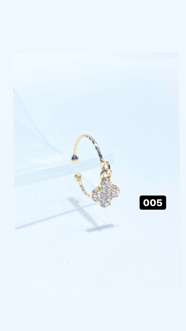 AN005