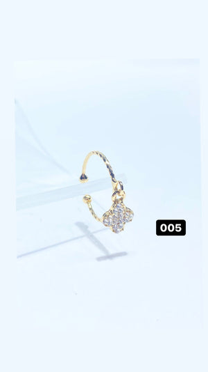 AN005